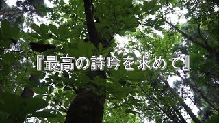 高知県　『最高の詩吟を求めて。』