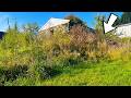 Shocking Discovery in the Backyard! $17,000 in Damage..