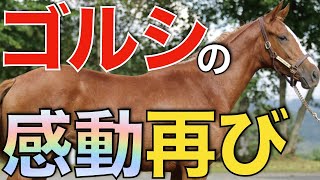 【絶対泣く】競馬ファンがウマ娘3期3話を見た感想！ゴールドシップ最後の感動が蘇る。