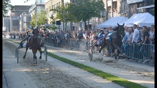 Kortebaan Purmerend 2019