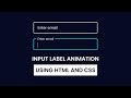 Input Label Animation HTML & CSS | Input Animation in HTML & CSS