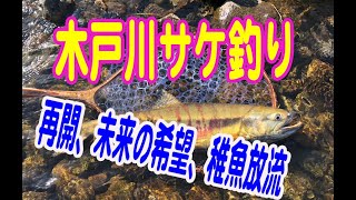 木戸川サケ釣り再開!？未来の希望、稚魚放流。