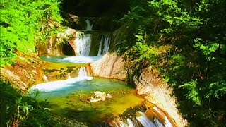 Fresh Greenery at Nishizawa Gorge Part 3: View of Nanatsugama Godan Falls - 新緑の西沢渓谷 七ツ釜五段の滝