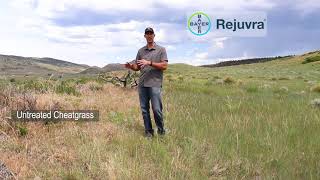 New Product, Rejuvra, for Open Space and Rangeland Restoration