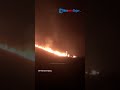 NASIB MIRIS PELAKU yang Bikin Bukit Teletubbies Bromo Terbakar, 6 Orang Diamankan Polisi