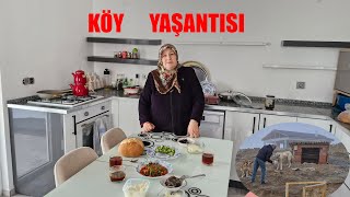 KÖPEĞİN BİRTANESİ KÜSMÜŞ YEMEĞİNİ YEMEDİ VE SABAH RUTİNİMİZ