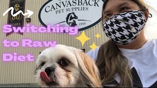 Raw Diet for Shih Tzu | Switching from Kibble to Raw Dog Food