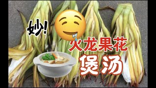 【图安一记】火龙果花煲汤 妙啊Can I Cook Dragon Fruit Flowers?