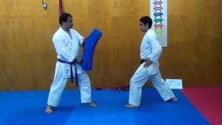Ushiro geri/spin Back kick tutorial