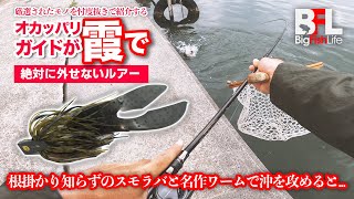 根掛かり知らずなスモラバで沖をトントンしてたら...