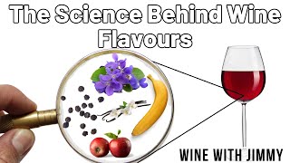 Understanding Wine Aromas: The Science Behind Your Favourite Flavours 🍷🔬