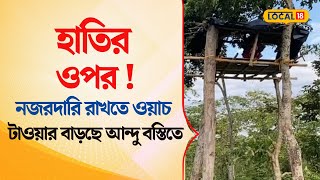 Bangla News | হাতির ওপর নজরদারি রাখতে ওয়াচ টাওয়ার বাড়ছে আন্দু বস্তিতে! চলছে রাত পাহারা | #local18