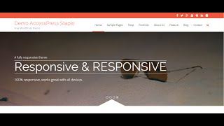 AccessPress Staple WordPress Theme Tutorial 1