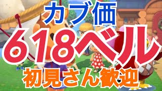 【あつ森】ライブ参加型 カブ価618ベルや613ベルや589ベルや流星群など　かぶ手数料なし