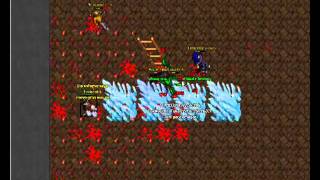 World Tibia Auto-Attack