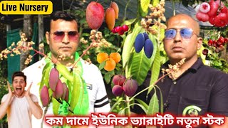 পাইকারি দামে ইউনিক ভ্যারাইটি ফলের গাছ গুলো পেয়ে যাবেন লাইভ নার্সারীতে।Live Nursery New Price Update