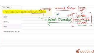 The causative agent of chancroid is