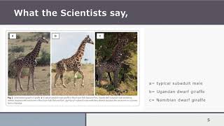 Dwarf Giraffes (BIO 282 Lab: Final Presentation)