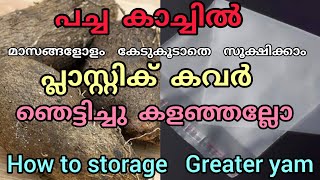 വീട്ടമ്മമാര്‍ക്ക് പച്ച കാച്ചിൽ മാസങ്ങളോളം കേടുകൂടാതെ  സൂക്ഷിക്കാം || Greater Yam || kachil kizhangu