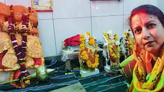 Live संत हिरदाराम नगर में भगवान श्रीराम लक्ष्मण जानकी अपने भक्त हनुमान जी के साथ नगर भ्रमण को निकले।