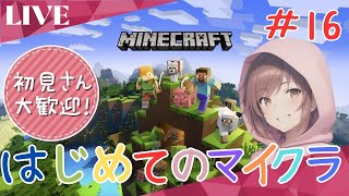 【Minecraft】初心者が挑戦！エンチャントのやり方を学ぶ【マイクラ実況】#16