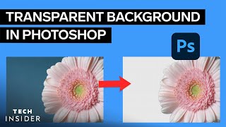 How To Make A Background Transparent In Photoshop