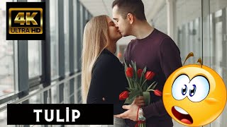 Tulip 4K - Relaxing Music Along With Beautiful Nature Videos - 4K Video Ultra HD
