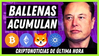 🚨 Noticias Criptomonedas (HOY) 👉 Sigue la SANGRE | Bitcoin | Shiba Inu | Ethereum | Cardano | Solana