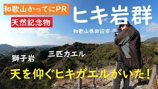 【和歌山かってにＰＲ】第51回「ひき岩群」天然記念物　和歌山県田辺市　本当にいた天を仰ぐヒキガエル岩が　象の背　獅子岩　恐竜の背骨　三匹カエル　　GoProMAX　大上敬史　Takashi.Oue