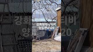 강화 현대부동산 032-934-8955  아담한 농막주택입니다 대지일부포함 화면처럼 꽃들이만발하고 과실수와 닭도 키우는 낭만이 있는곳 160평 1억7천5백만~ #전원주택