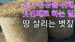 땅살리는볏짚 거름보다더중요한볏짚 연작피해없에는볏짚 농사유튜브 농사정보통