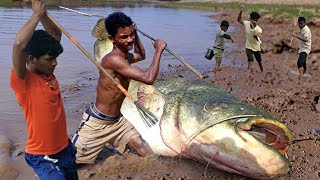 😲Unbelievable Fishing Technique🥰Amazing 2 Boy Catch Lot Of Big Fish❤️Best Unique Spearfishing