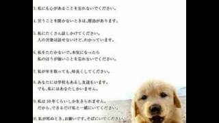 「犬の十戒」(犬と私の10の約束) 短編詩 朗読