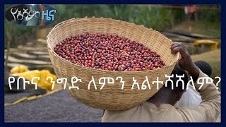 የአሻም ዜና | ኢትዮጵያ ቡና ላይ እሴት ጨምራ ለውጪ ገበያ ባለማቅረቧ የምታጣው ገቢ ብዙ ነው | #AshamNews