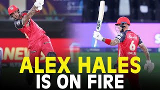 Alex Hales is on Fire 🔥 | Desert Vipers vs Dubai Capitals | Match 27 | DP World ILT20