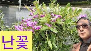 한우리난농원 둘러보기4  자투리영상