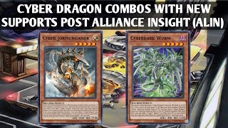 Cyber Dragon Combos with New Supports Post Alliance Insight (ALIN) Yu-Gi-Oh! Edopro by Arslan