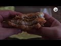 이불킥 ep19. 맥도널드 맥갱뱅 mcgangbang