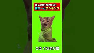 かわいい！猫ミームで個人的にかわいいと思うランキング！