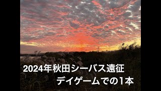 リバーシーバスの聖地！ハイシーズの秋田シーバスに挑む。