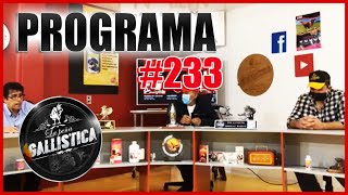 programa 233