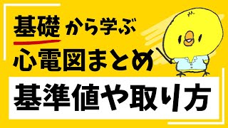【まとめ】心電図の読み方の基本と基準値！心電図は怖くない！【医療従事者向け】