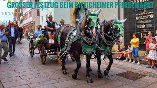 Großer Festzug beim Bietigheimer Pferdemarkt 🏇🏇 Presentation of horses 🇩🇪