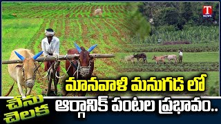 Chenu Chelaka: V Atchuta Rao About Organic Farming | Farmers Run | T News