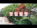 당일치기 오감만족 여행 옥천 나들이 부소담악 정지용 시인 생가 문학관 장계관광지