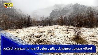 ئەمانە دیمەنی بەفربارینی بناری چیای گارەیە لە سنووری ئامێدی