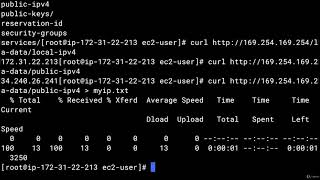 [AWS - Section 4: EC2] 15 EC2 Instance Meta Data