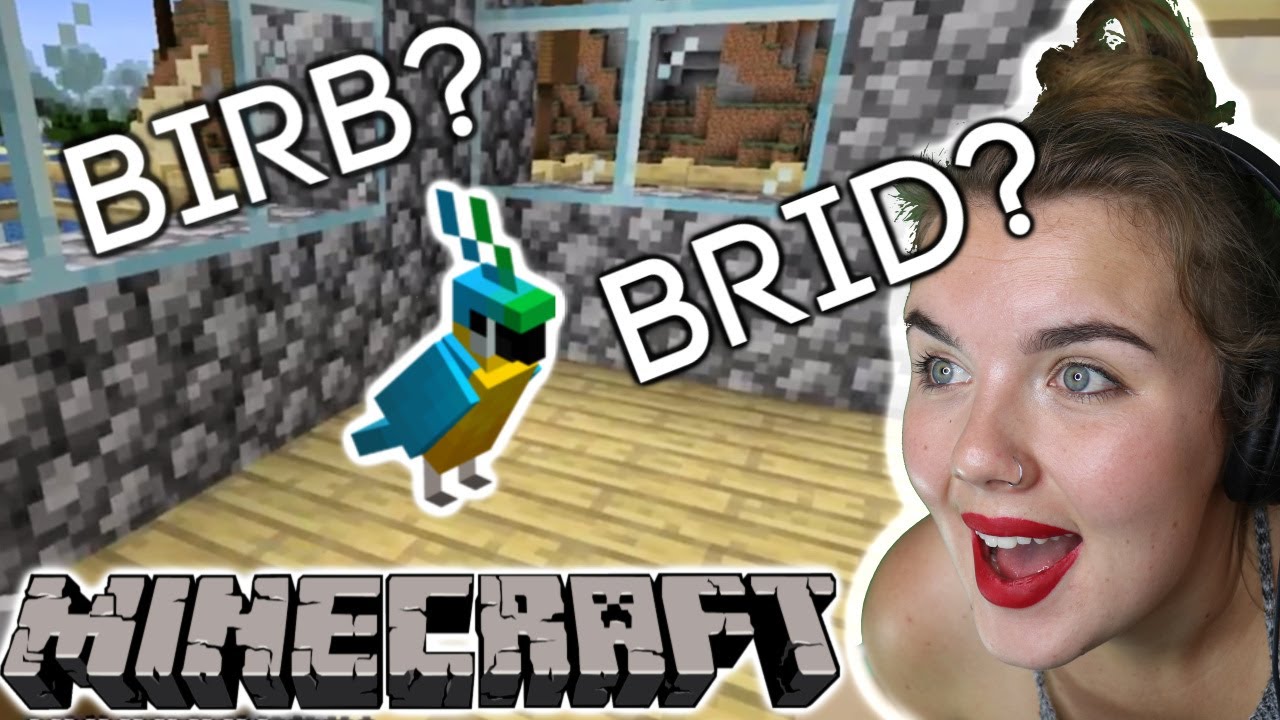 B-B-B-BIRD, B-BIRDD'S A WORD.... Minecraft EP.14 - YouTube