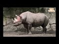 上野動物園２（ueno zoo 2）