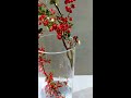 密若繁星一树红，高高枝上挂灯笼。 flowermaking flowers flowerarrangement 艺术